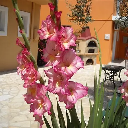 Erietta Hotell Svoronata